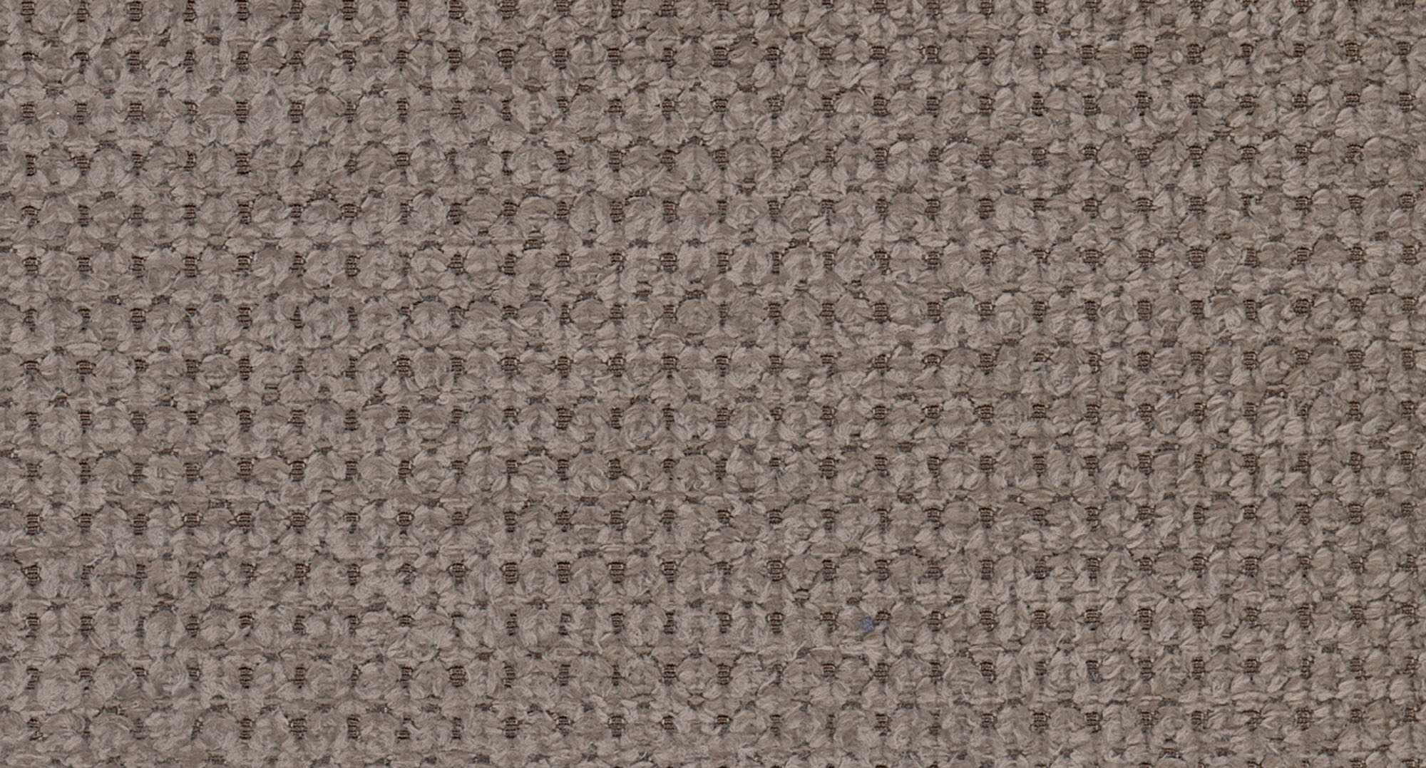 Taupe F003