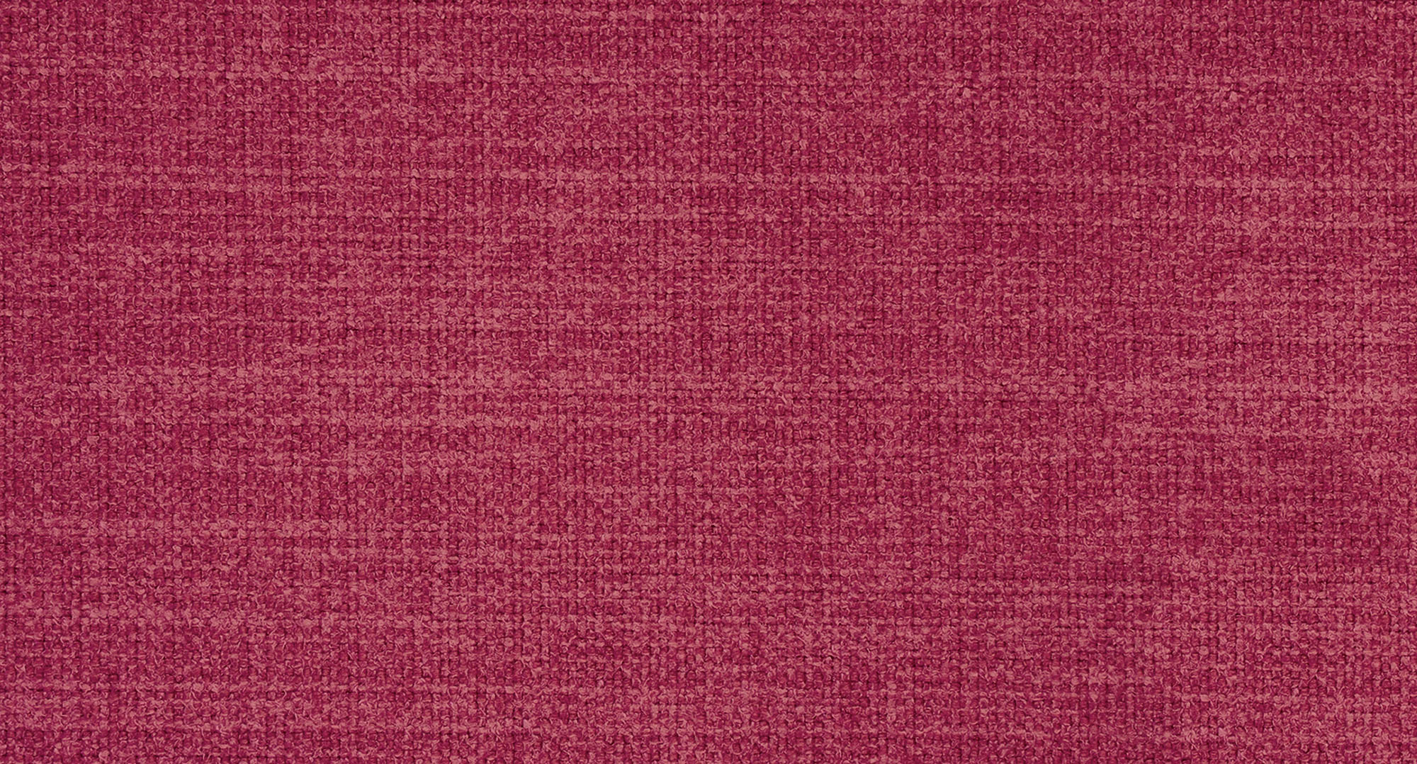 CAMPSBAY451 CORAL S1