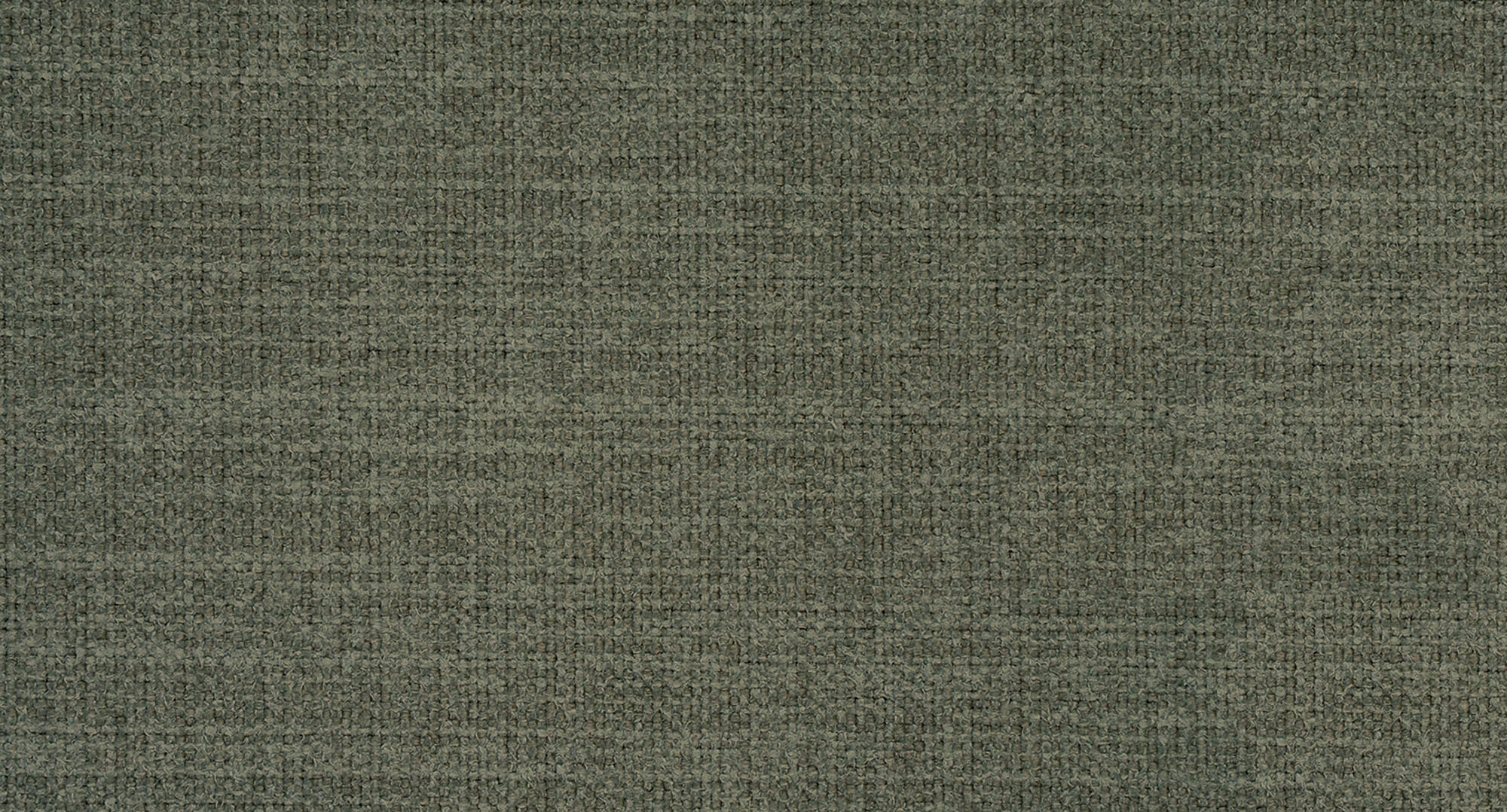 CAMPSBAY454 TURTLE S1