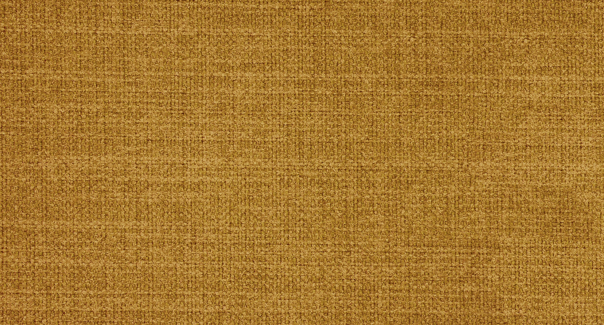 CAMPSBAY456 MUSTARD S1