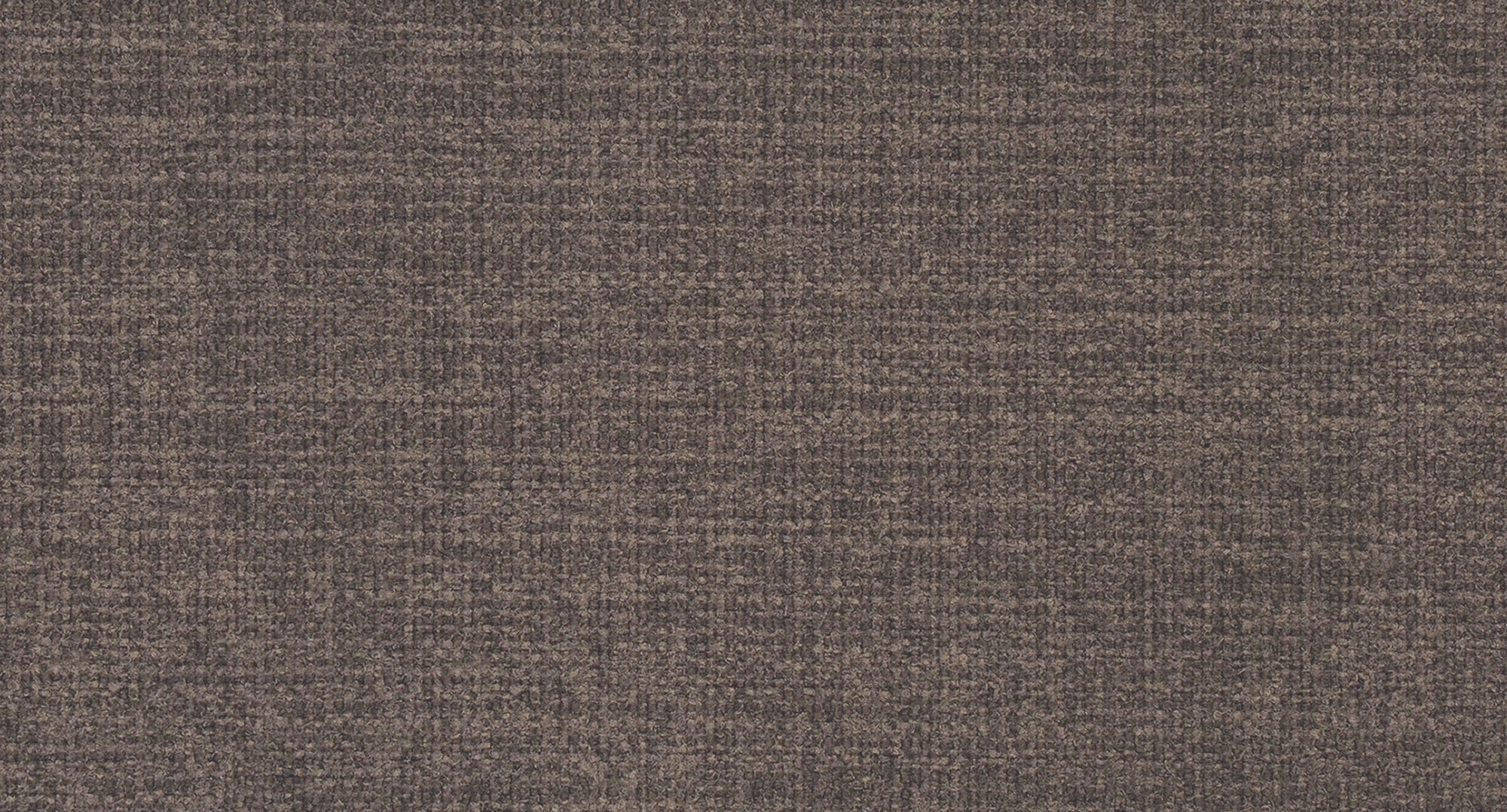 CAMPSBAY460 DARK BROWN S1