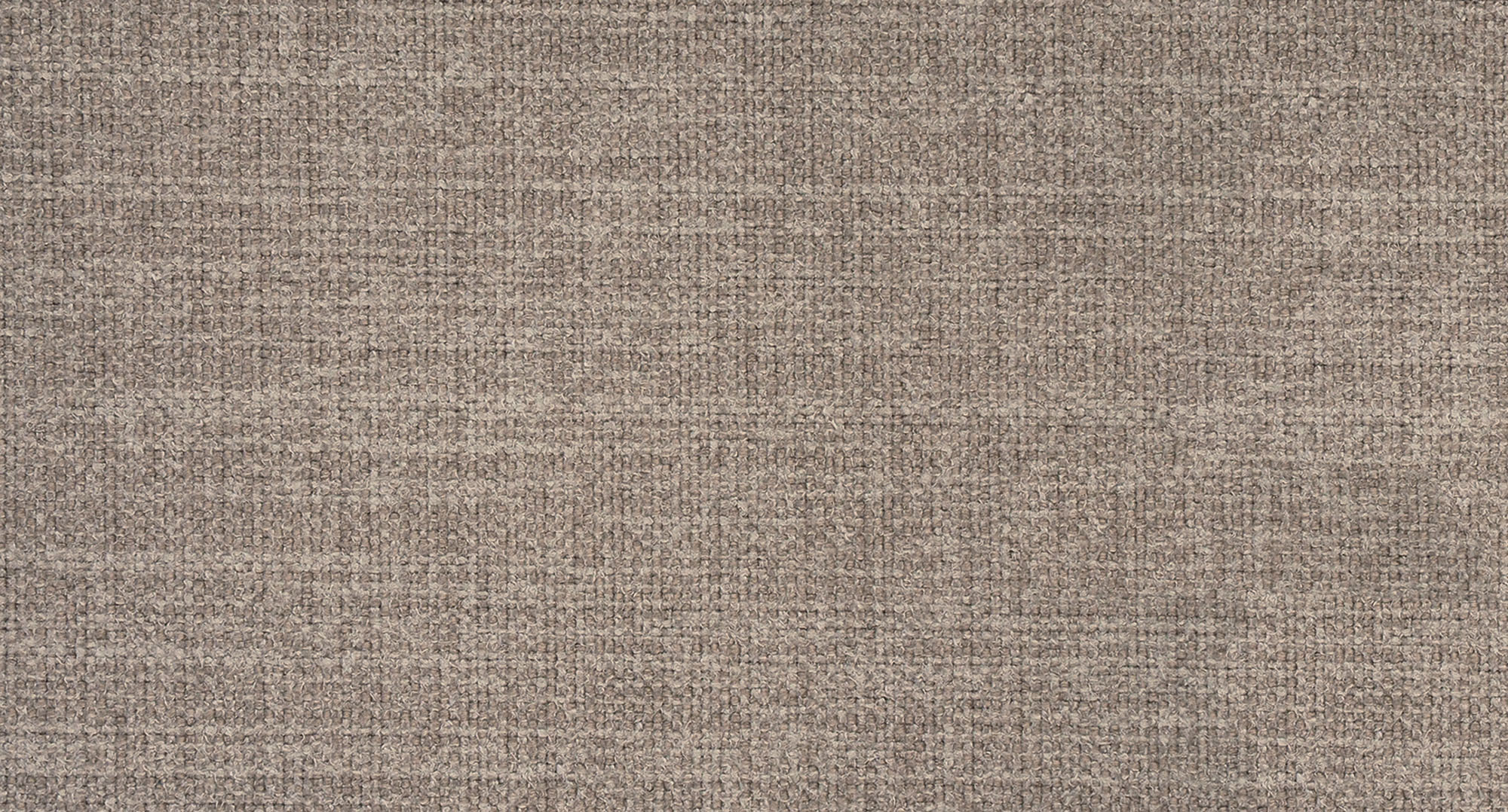 CAMPSBAY462 LIVER S1