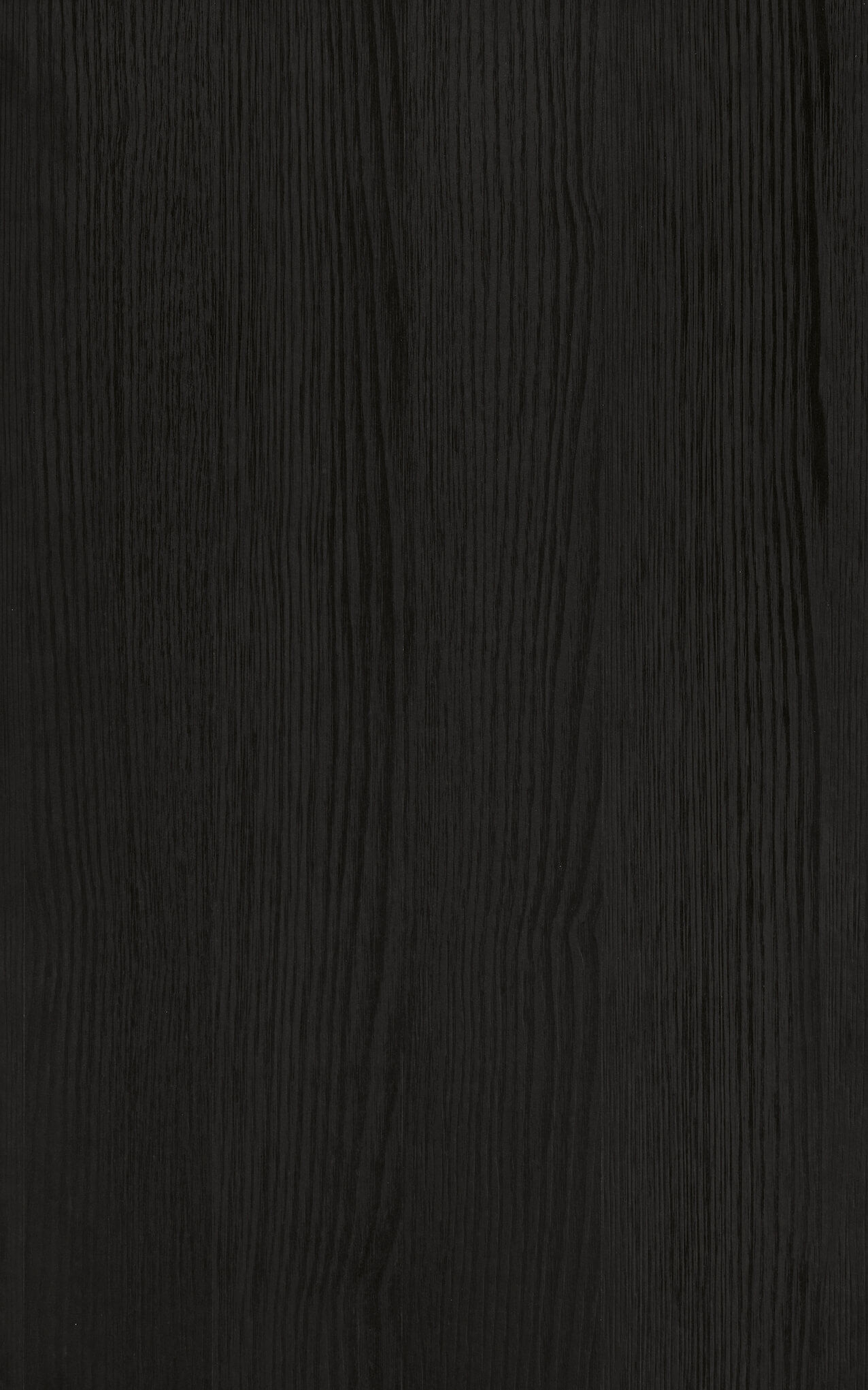Rovere fossile