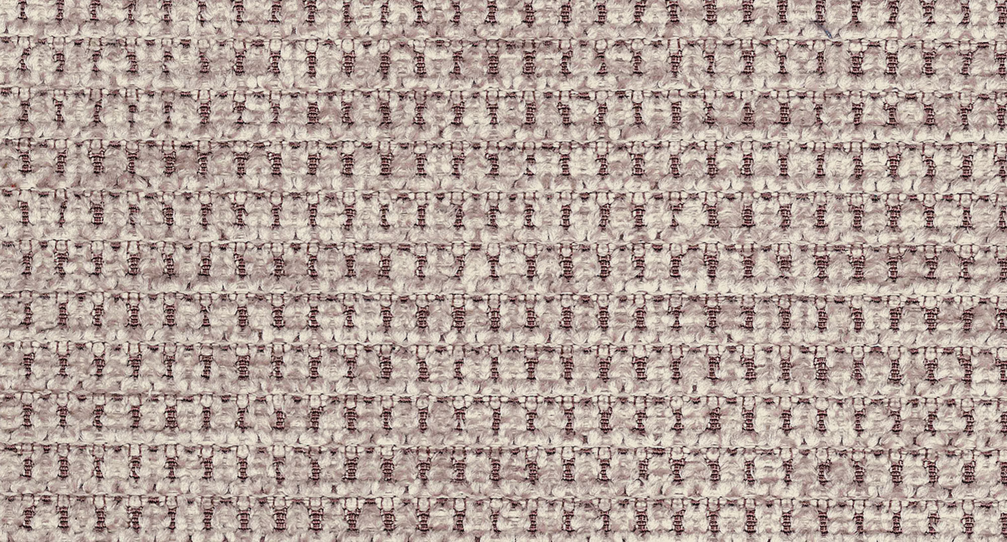 ORLANDO C008 PALE 1S