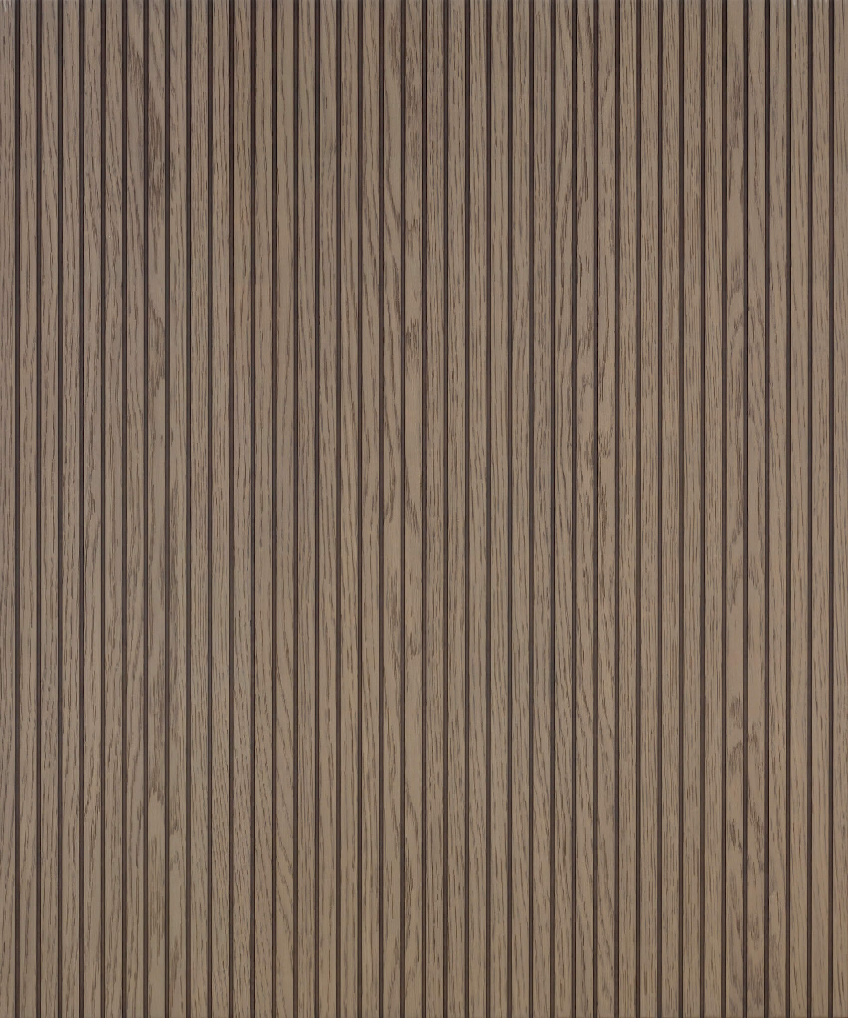 Rovere africano