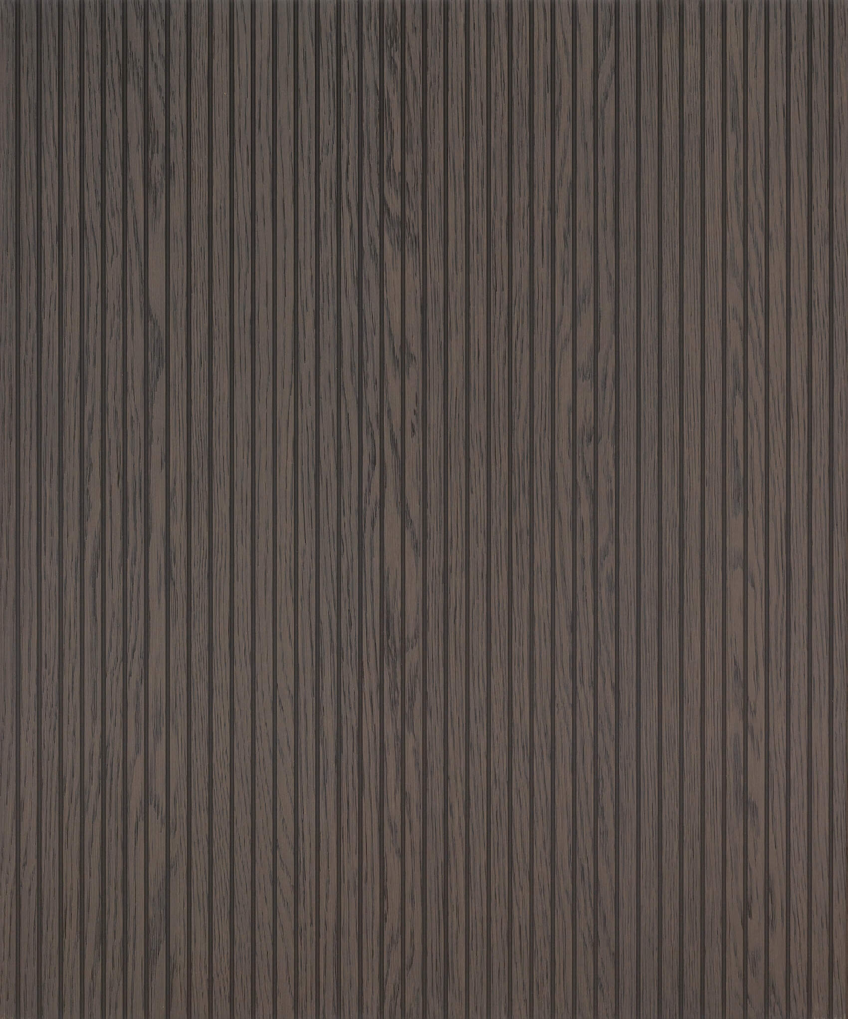 Rovere asiatico