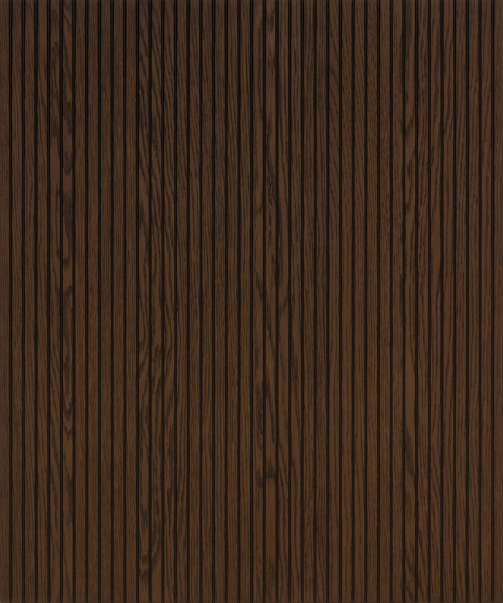 Rovere terra