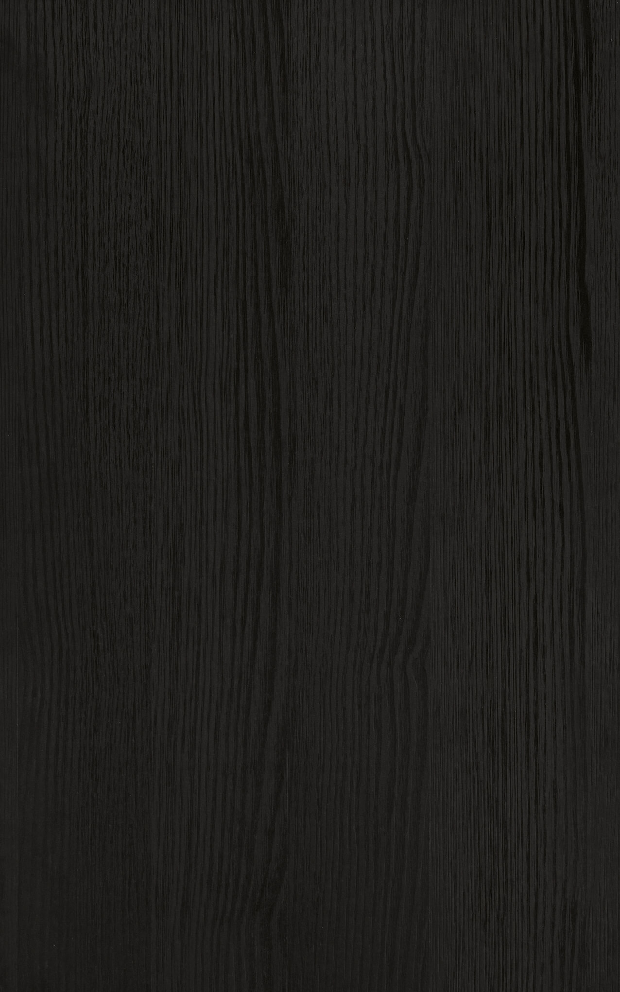 Rovere fossile