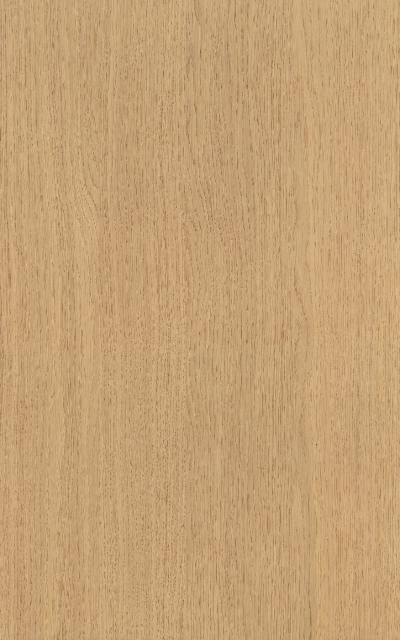 Rovere Biondo