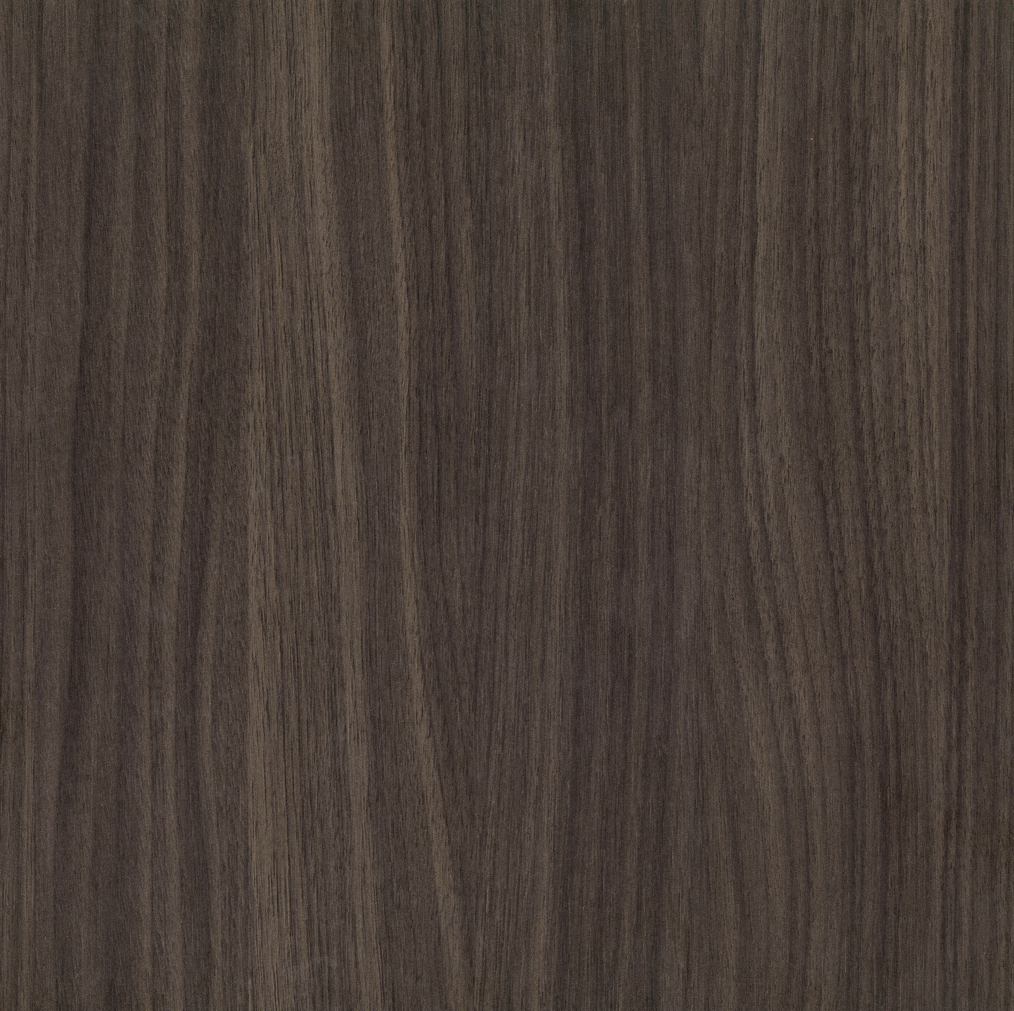 Rovere Asiatico Nobilitato